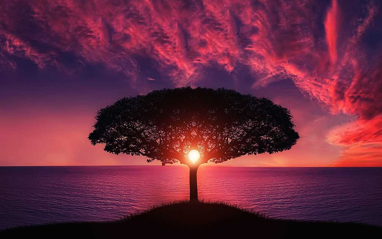 Тестовый курс